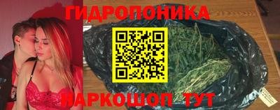 индика Татарск